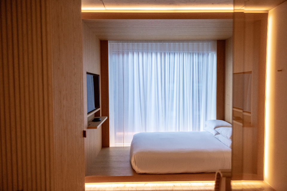 The Omnipotent Airbnb Risk