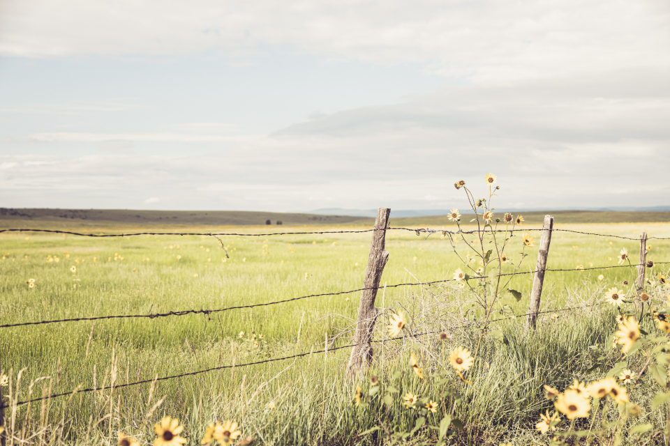 Where There’s a Will, but Not a Way: Part 2