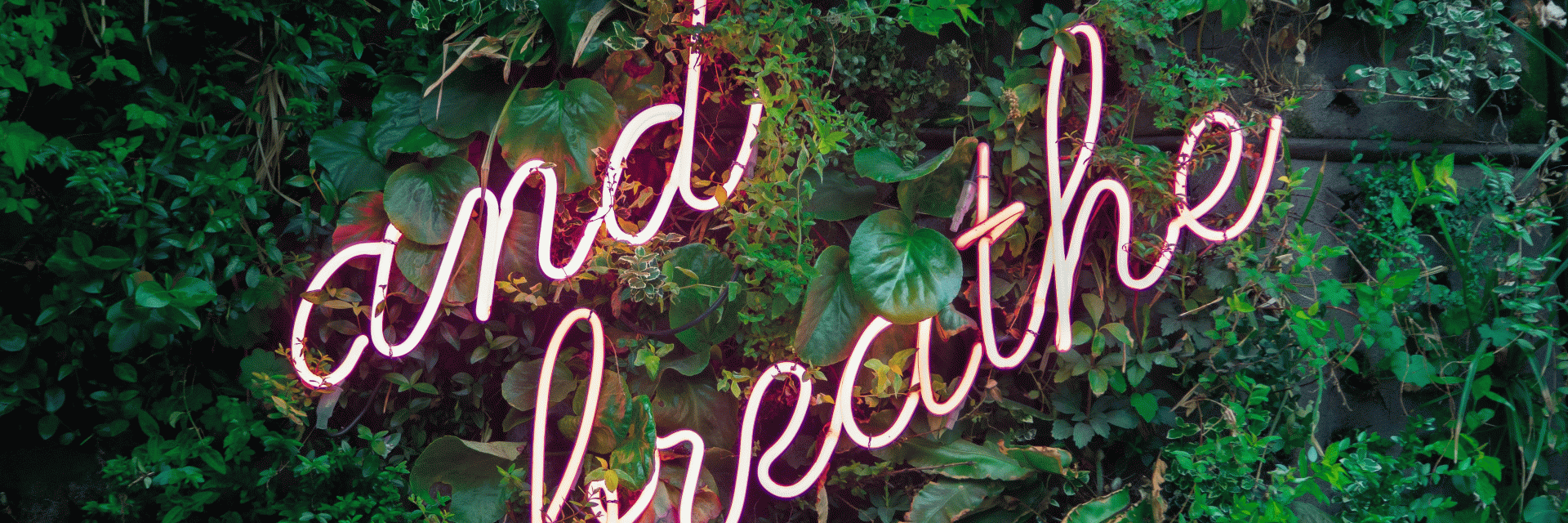 Moving into Aged Care & your 28 day Decision